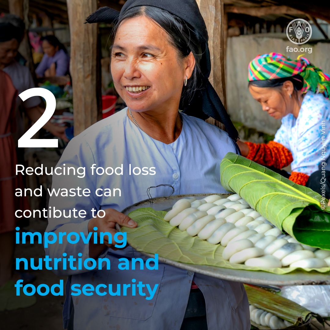 UNGeneva's tweet photo. Reducing #FoodLoss and #FoodWaste matters 🍽️

Here are 4️⃣ ways it helps people and the planet 🌏

#FLWDay @FAO https://t.co/A3r6ErLJ7U