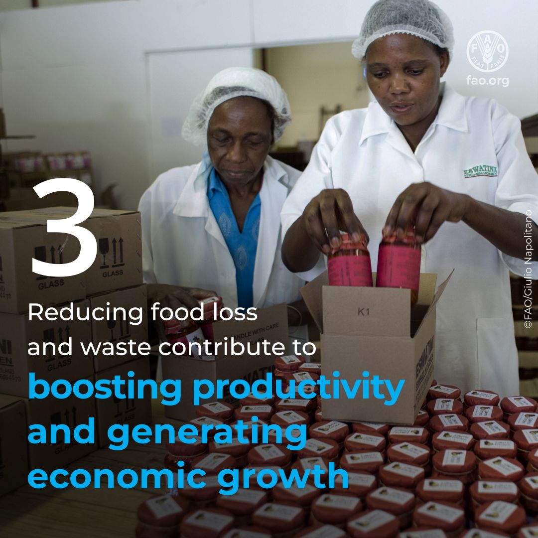 UNGeneva's tweet photo. Reducing #FoodLoss and #FoodWaste matters 🍽️

Here are 4️⃣ ways it helps people and the planet 🌏

#FLWDay @FAO https://t.co/A3r6ErLJ7U