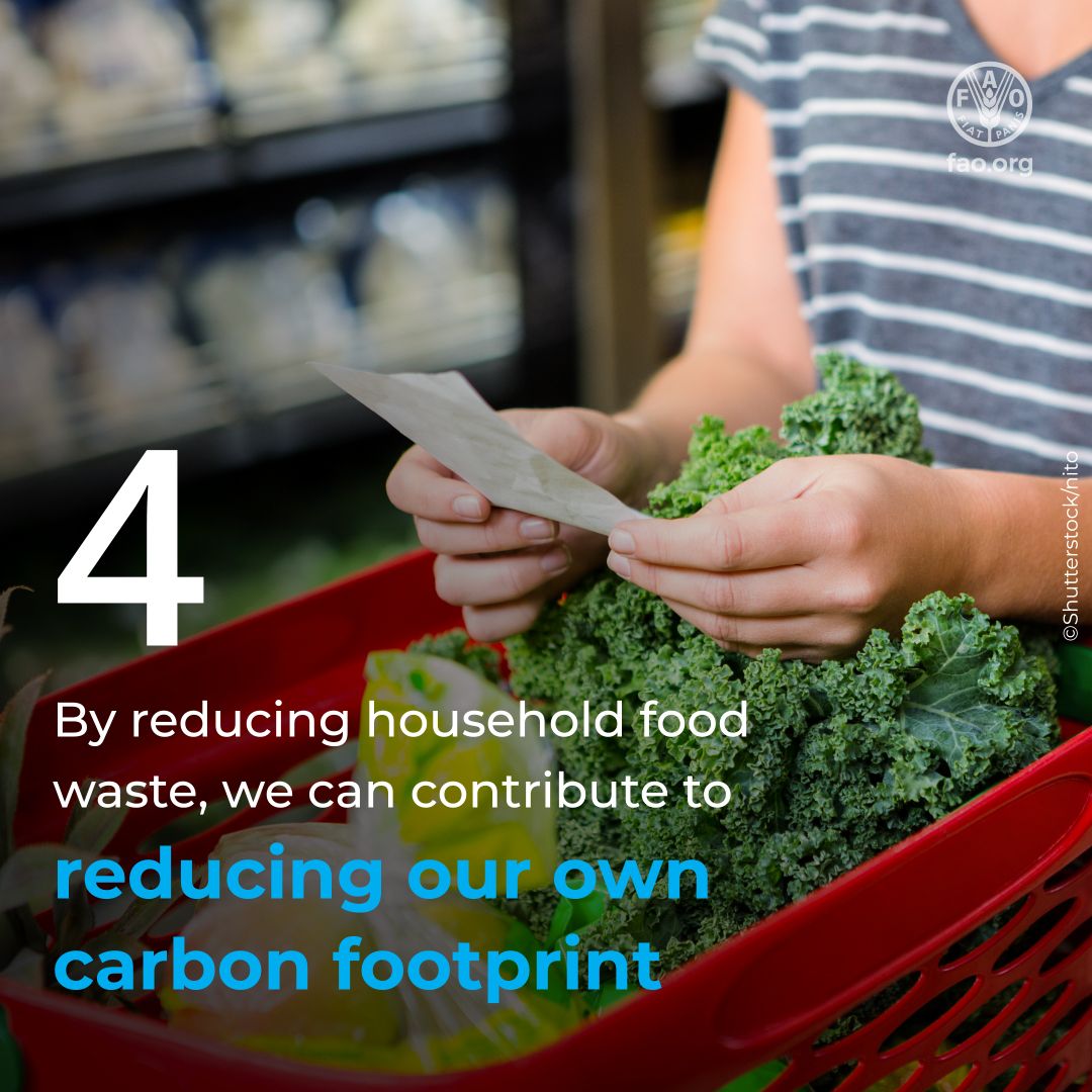 UNGeneva's tweet photo. Reducing #FoodLoss and #FoodWaste matters 🍽️

Here are 4️⃣ ways it helps people and the planet 🌏

#FLWDay @FAO https://t.co/A3r6ErLJ7U