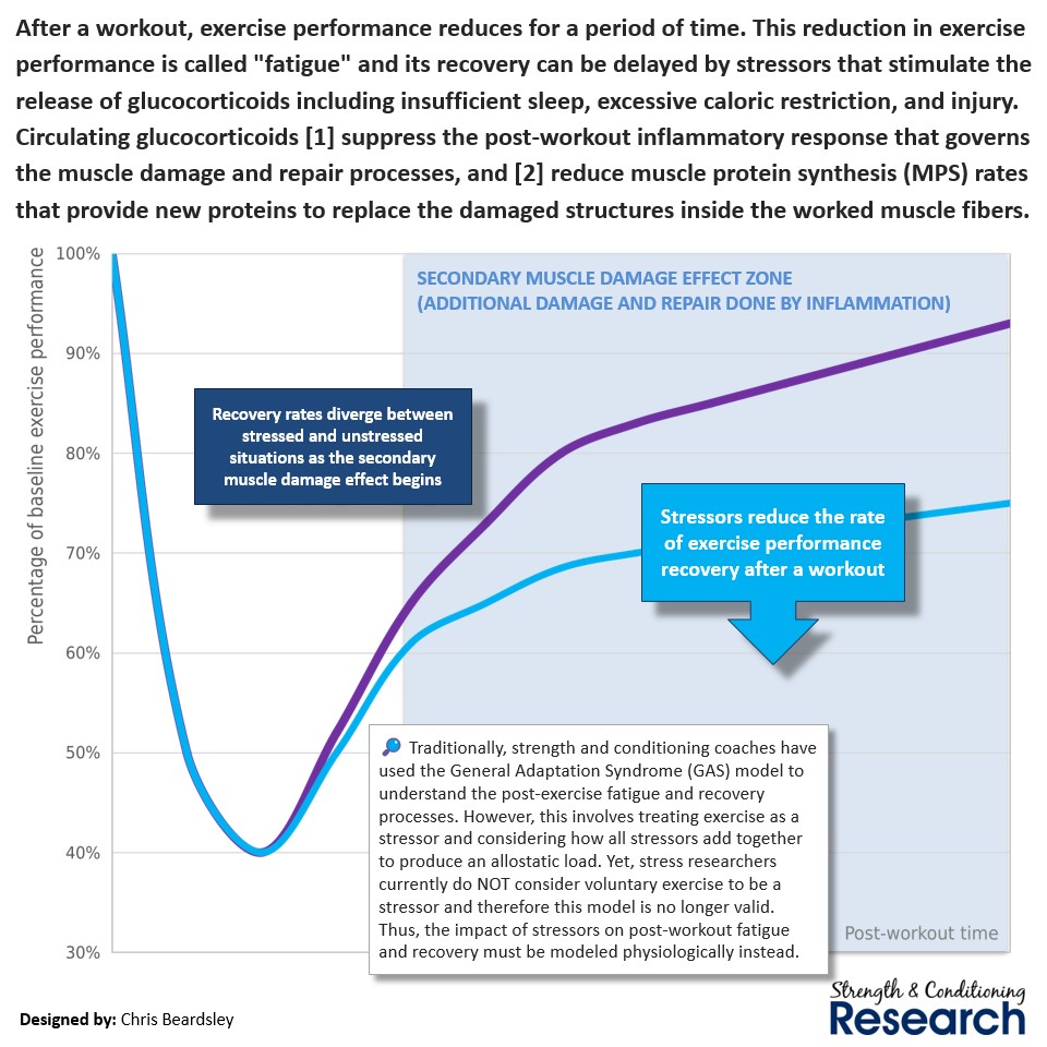 SandCResearch's tweet photo. Stressors slow the rate of post-workout recovery by interferring with the secondary muscle damage effect. This allows us to explain the negative effects of any non-exercise intervention without resorting to the general adaptation syndrome. https://t.co/ScHsEpn8i9
