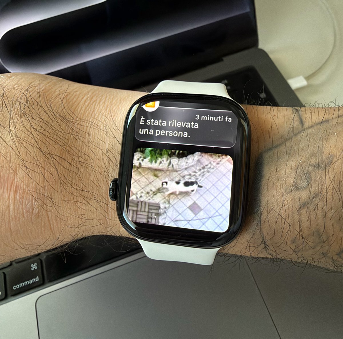 DenisGargano's tweet photo. HomeKit deve ancora migliorare tanto: ancora oggi spesso e volentieri non riesce ancora a distinguere un animale da una persona https://t.co/e6wtwrmhWe