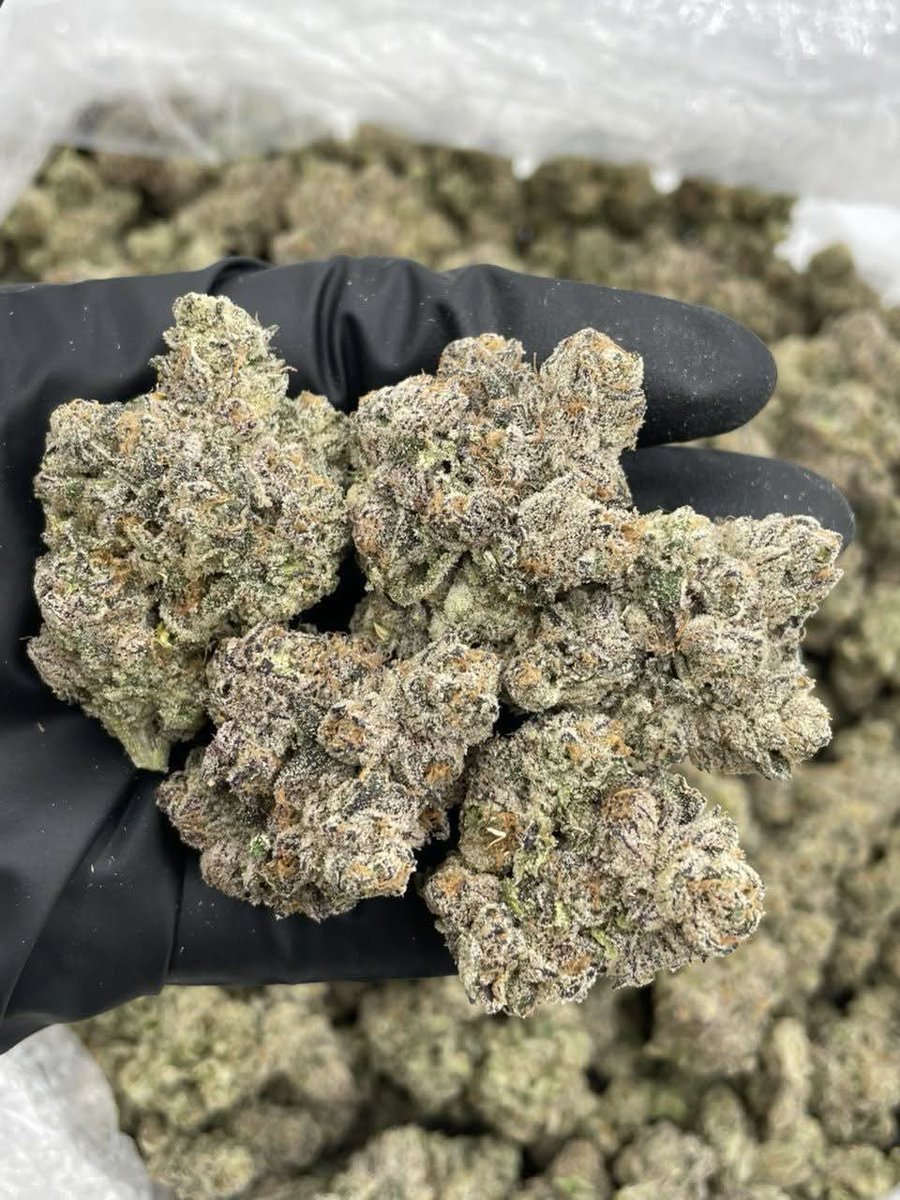 ukweed42's tweet photo. Weed Aberdeen, Dundee, Inverness, Perth, Stirling, Dunfermline, Cardiff, Swansea, Newport, Bangor, St Asaph, St David’s, Wrexham, Belfast, Londonderry, Armagh, Newry, Lisburn, Solihull, Gateshead, North Tyneside, Calderdale, Halifax, Northampton, Warrington, Bury, Luton. https://t.co/fe8yG0VoQN