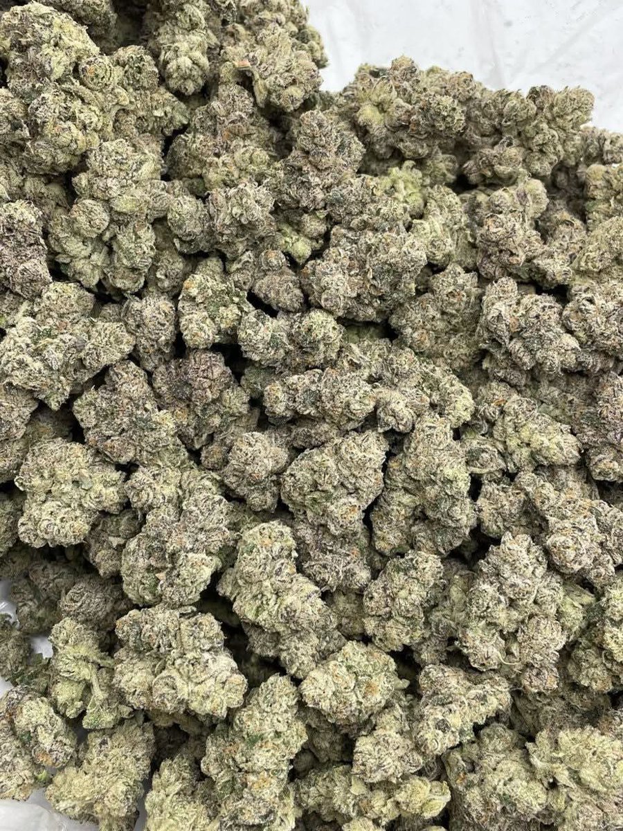 ukweed42's tweet photo. Weed Aberdeen, Dundee, Inverness, Perth, Stirling, Dunfermline, Cardiff, Swansea, Newport, Bangor, St Asaph, St David’s, Wrexham, Belfast, Londonderry, Armagh, Newry, Lisburn, Solihull, Gateshead, North Tyneside, Calderdale, Halifax, Northampton, Warrington, Bury, Luton. https://t.co/fe8yG0VoQN