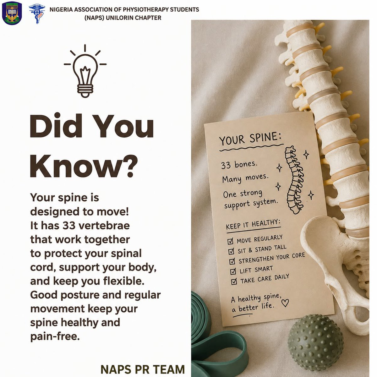 naps_unilorin's tweet photo. Your spine has 33 vertebrae and is designed for both stability and movement. Regular movement, good posture, and core-strengthening exercises help maintain spinal health and mobility.
Move well. Keep your spine healthy! 💪
Remember, Movement is medicine.😌 #NAPSTV https://t.co/32GcujnzEB