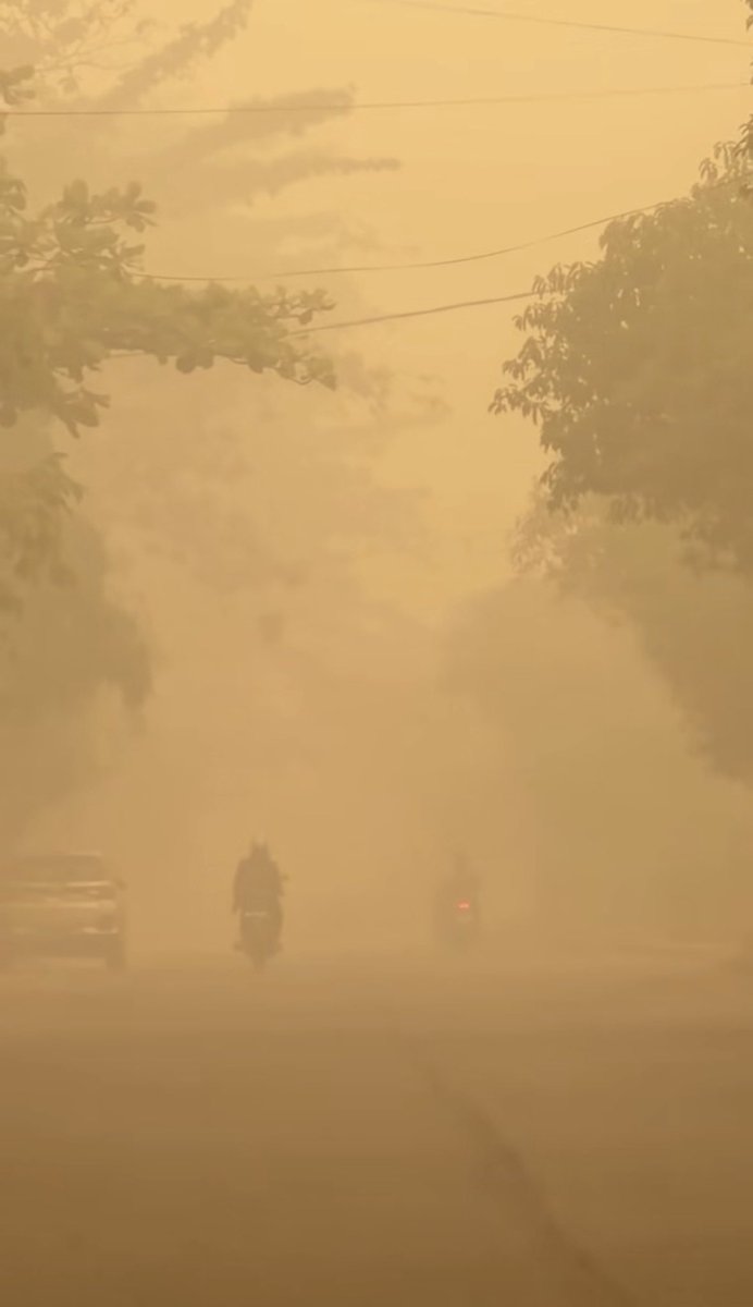 komisarisnetzen's tweet photo. Asap di Palangkaraya masih PARAH BANGET😭

Ya Allah, turunkanlah hujan berhari-hari di kalimantan🙏🏻🥲

#PrayForKalimantan https://t.co/jdixwPGGIX