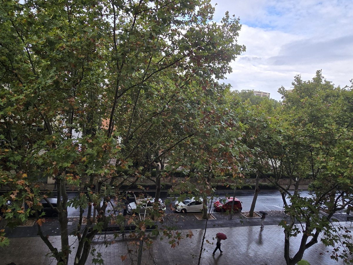 gramareus's tweet photo. Plou a Reus!!🌫🌧
22°C, humitat del 89%
#Reus #rain #llueve @ecazatormentas @StormHour @1967fct @SeguimlaMeteo @SoniaPapell https://t.co/hjgHgJkdGF