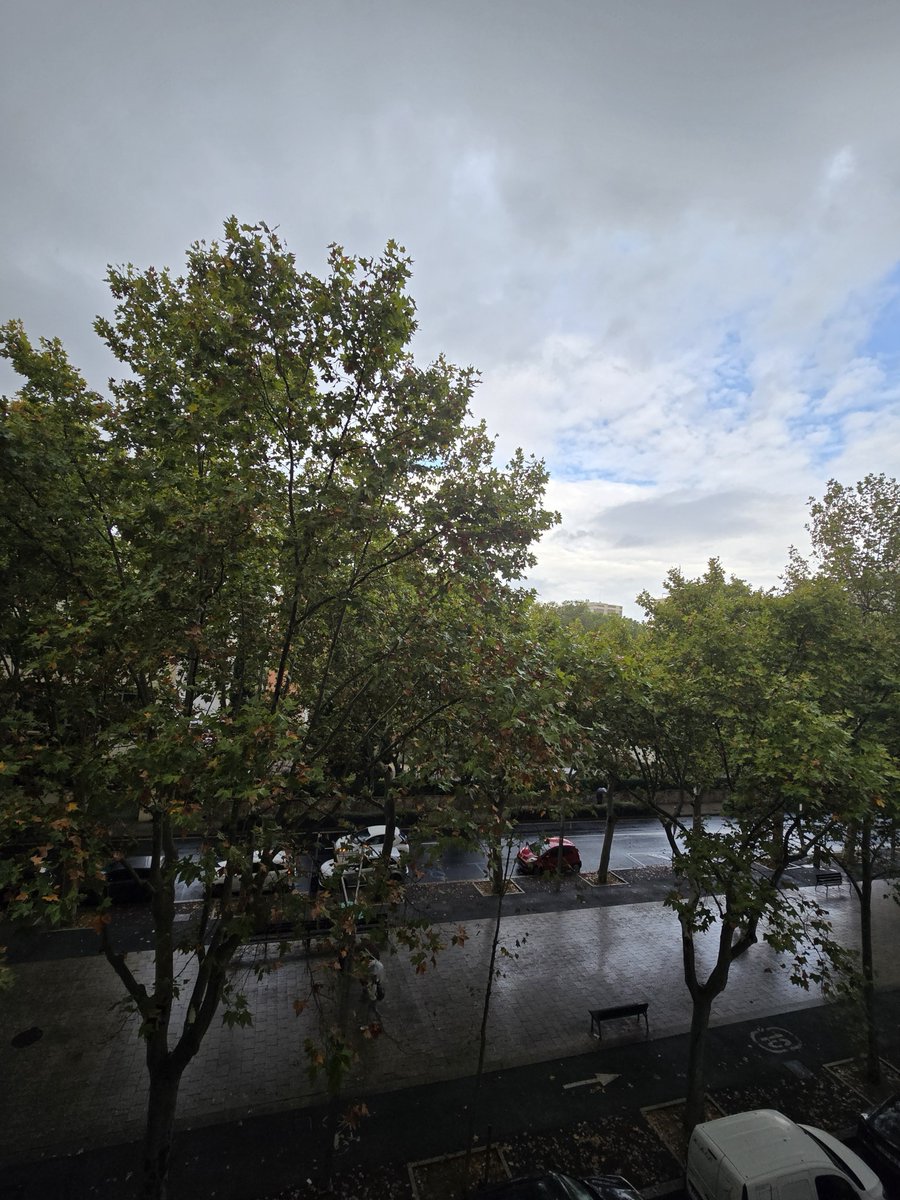 gramareus's tweet photo. Plou a Reus!!🌫🌧
22°C, humitat del 89%
#Reus #rain #llueve @ecazatormentas @StormHour @1967fct @SeguimlaMeteo @SoniaPapell https://t.co/hjgHgJkdGF
