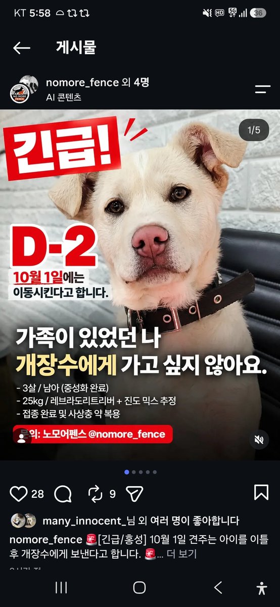 animalrtaccount's tweet photo. 견주가 개장수에게 판데요
알티부탁 https://t.co/sMt5Q5aMl3