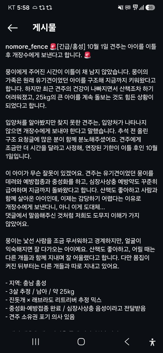 animalrtaccount's tweet photo. 견주가 개장수에게 판데요
알티부탁 https://t.co/sMt5Q5aMl3