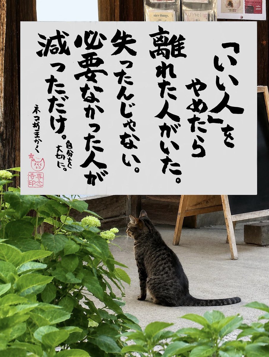 yabumoto610's tweet photo. ネコさんから人間さんへ今日の一言 https://t.co/tplzxNTPx0