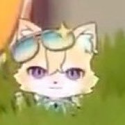 helloworldnam5's tweet photo. So I tried for the bazillion time( yes before I got x) to try to download hsr fully knowing that my phone has no storage for honksi star rail https://t.co/PDBpZevpXd