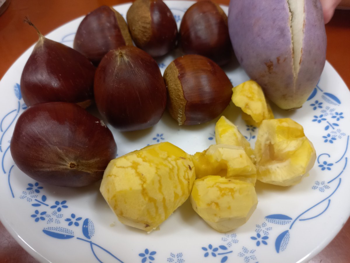 takejinohatake's tweet photo. 秋の味覚、勢揃い‼️🌰🍂

#おうちごはん
#料理好きな人と繫がりたい
#晩酌 https://t.co/QarkU5yAft
