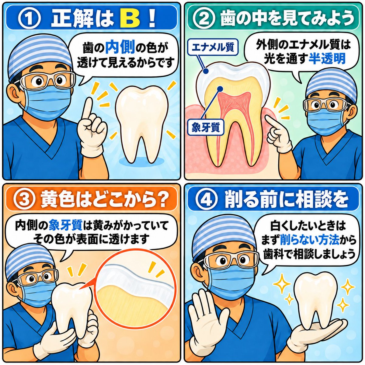 Yasu_OP's tweet photo. 【むし歯予防クイズPart4 第1問】
白い歯にあこがれる人は多いはず．では、多くの人の歯がうっすら黄色っぽく見えるのは、なぜでしょう？

【第1問 解説編】

正解は B. 透明なエナメル質を通して、内側の象牙質の色が透けて見えているから です．

エナメル質も、その主成分（ハイドロキシアパタイト）も、本来は無色透明です．歯がうっすら黄色く見えるのは、透けて見える内側の象牙質の色なんです．

「エナメルがもともと黄色い」（選択肢A）わけでも、着色や酸化がすべて（選択肢C・D）でもありません．年齢とともに黄ばんで見えるのは、エナメル質が薄くなって象牙質がより透けるからでもあります．

だからこそ、白くしたいからと表面をむやみに削るのは考えもの．歯の色は、まず削らない方法から相談してほしいのです．