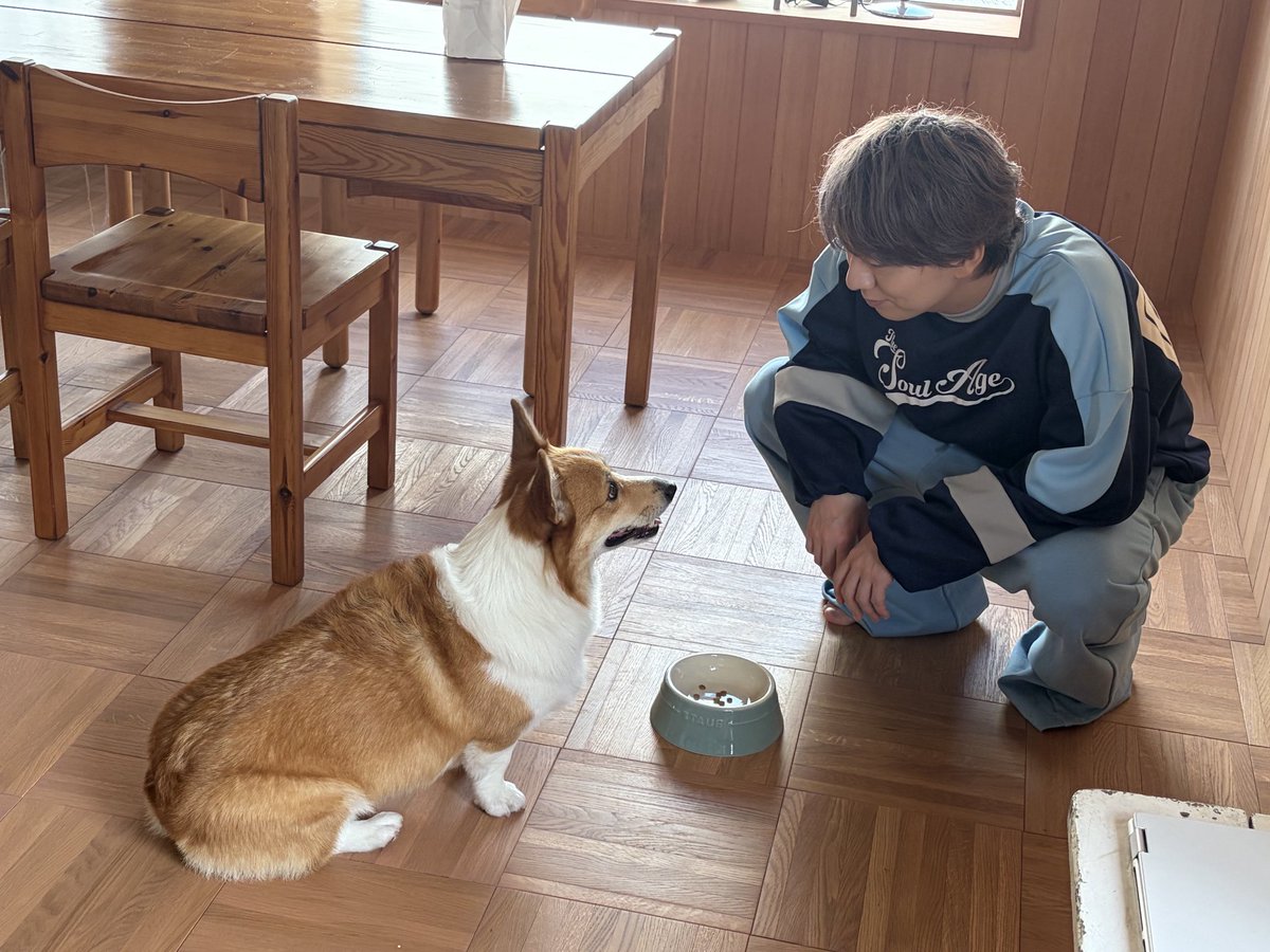 TVguidePERSON's tweet photo. #酒と泪と良平とわんこ 10/2(金)発売🐶

🐕DVD付き限定表紙版
Amazon https://t.co/t4VAUqLYDh
楽天ブックスhttps://t.co/X0WIueYsqT

🐩イベント参加抽選券付きアクスタ
アニメイト絵柄A https://t.co/qQobk7oSHO
ゲーマーズ絵柄B https://t.co/VJUL1ufc1D

🦮直筆サイン入り
https://t.co/YnZ8EsVbgE https://t.co/K1ZcqLv0lH