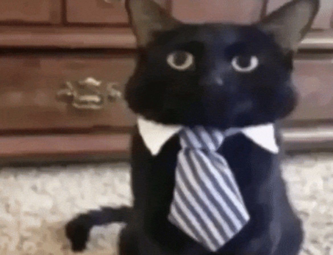 twinkdidion's tweet photo. i dont want to be conscious anymore https://t.co/cmz8DfiB8A