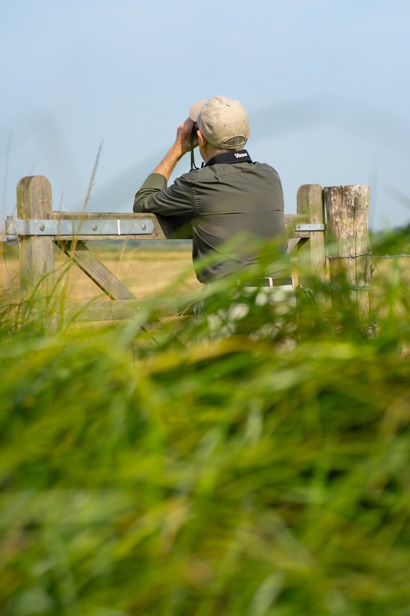 infocusOptics's tweet photo. The @vikingoptical  kestrel

At last, a mid price binocular range with ED glass objective lenses. These binoculars offer amazing optical quality and value for money.

🔗shop now using the link in bio
📸Simon Mccabe
#ExtendYourHorizons #Birding #Wildlife #VikingOptical https://t.co/s67AveHSMQ