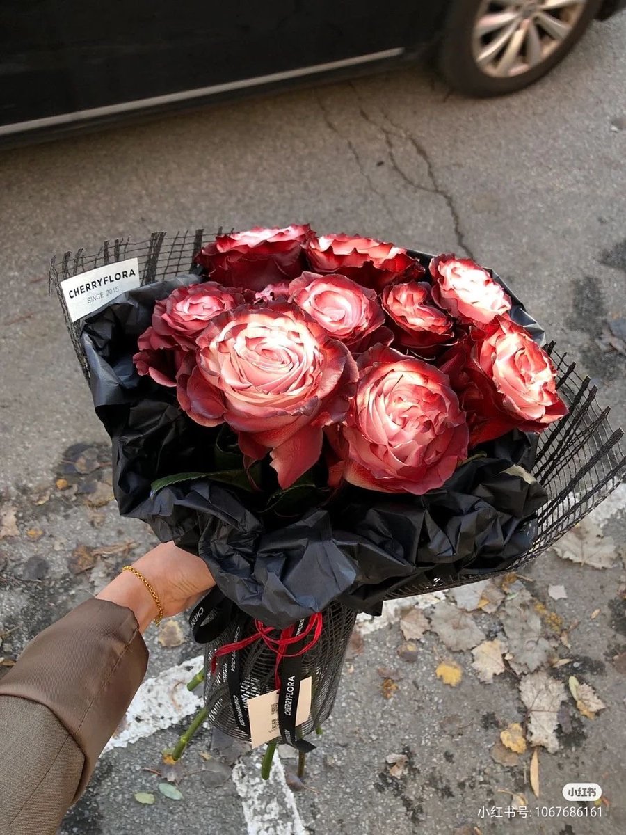 gothicornate_'s tweet photo. love, with a darker kind of devotion https://t.co/3aRFsrB8Ij