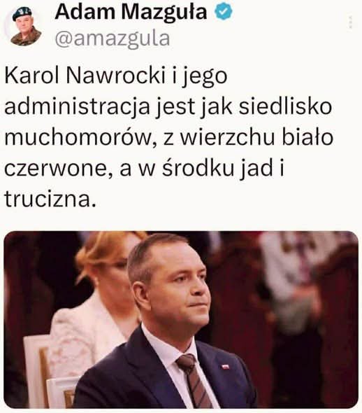 amazgula's tweet photo. To nie muchomory sezonowe, to mutanty całoroczne, a być może nawet wieloletnie. https://t.co/NC7C0OcSEt