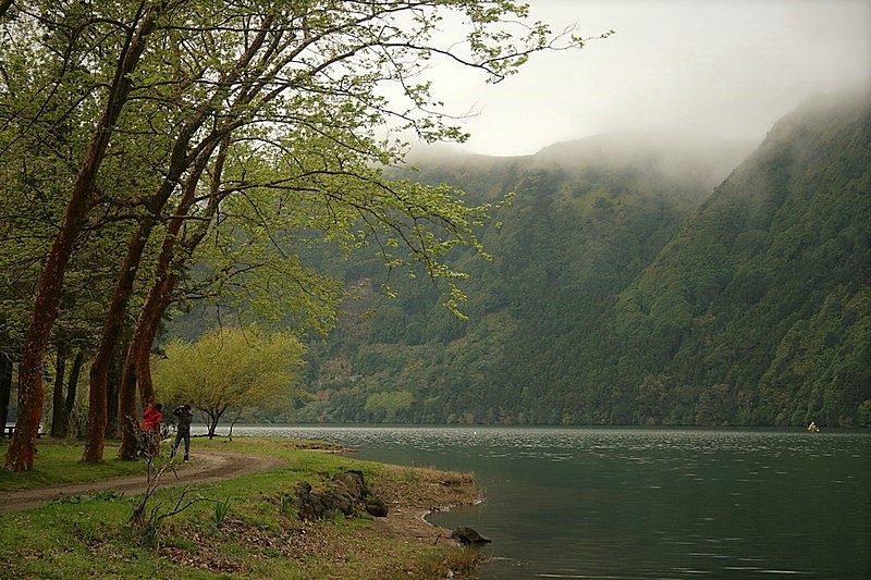 mystiquelily1's tweet photo. s. Miguel - Açores https://t.co/BcFPQe7Fbh