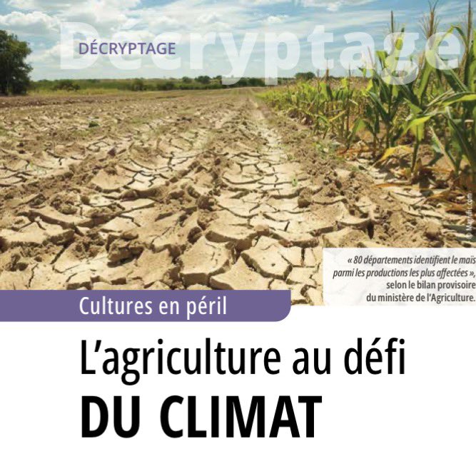 lebimsa's tweet photo. À lire dans notre dernier numéro : « L’agriculture au défi du climat » analyse des conséquences des canicules sur l’agriculture française, avec @INRAE_France (p.17-21)
https://t.co/gmIbVfKsVm https://t.co/4qDme21l2U