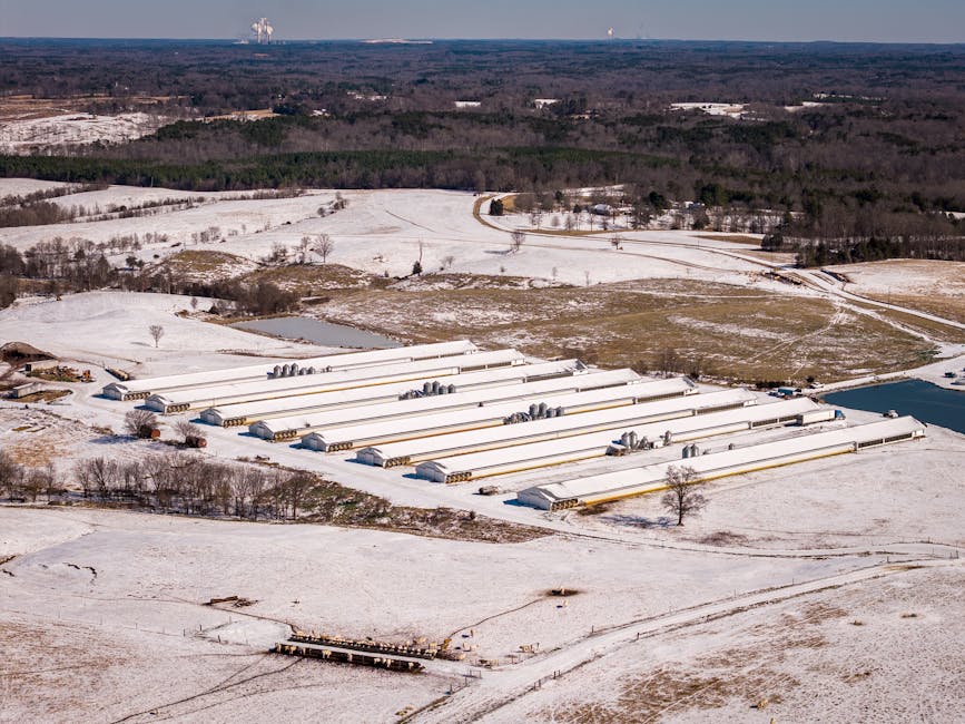 NinataRobertqG2's tweet photo. Julian Jack nonstop Zoe Lily Laughing with and toccara friedhaber😦 https://t.co/3gHVcnjO2A