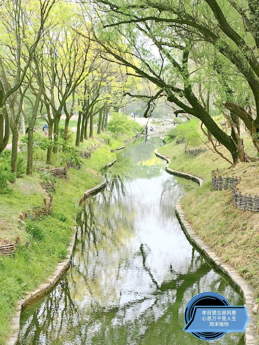 vibe_genev_77's tweet photo. By the creek at Xidupan, every breeze carries a hint of quiet beauty, making ordinary moments feel like little treasures. https://t.co/GqQ9cgZqnp