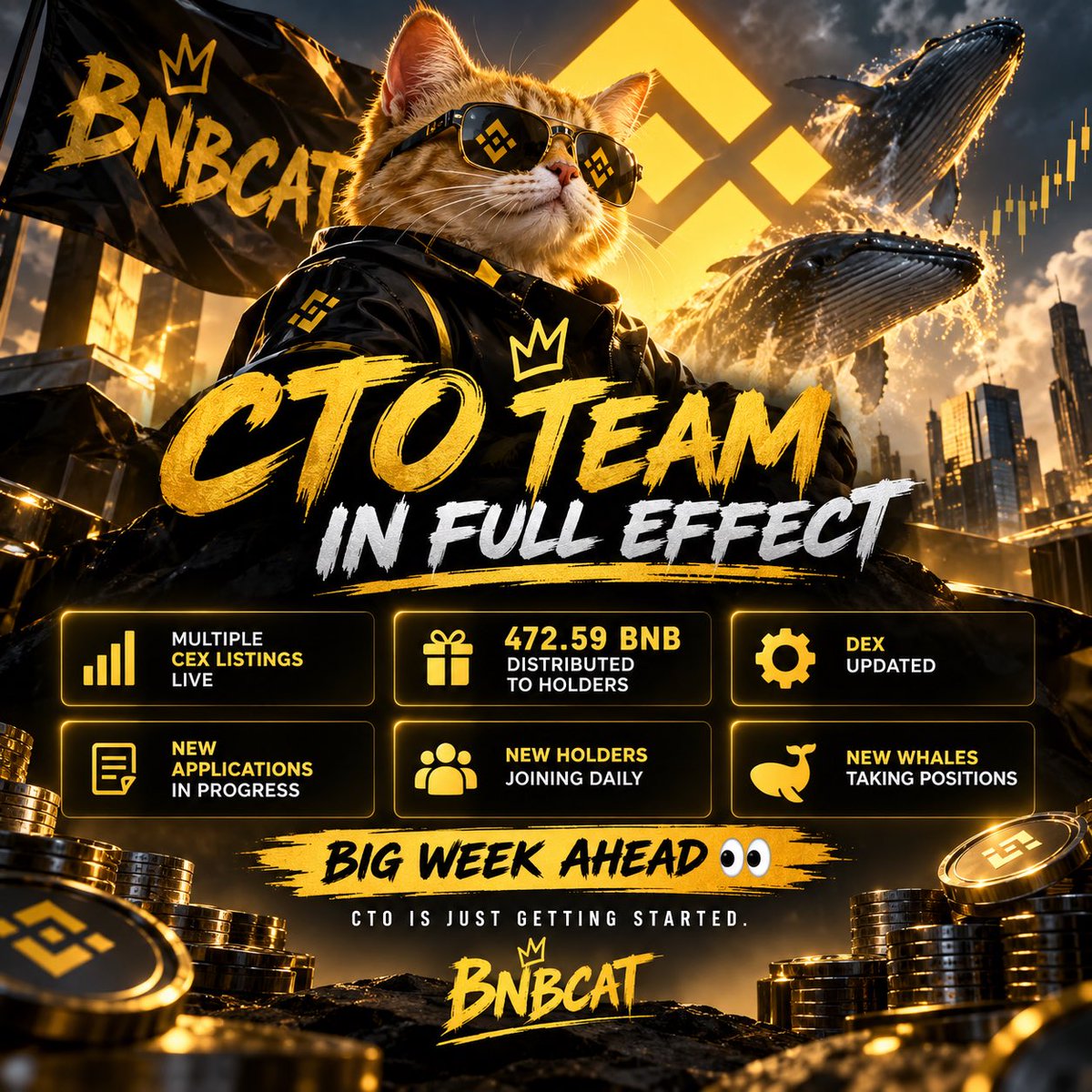 CTOBNBCAT_x's tweet photo. 🚨 CTO TEAM IN FULL EFFECT 🚨

🐱 BNBCAT is moving forward fast.

• Multiple CEX listings live
• 472.59 BNB distributed to holders 🎁
• DEX updated
• New applications in progress
• New holders & whales entering 🐋
• Big week ahead 👀

CTO is just getting started. 🟡🚀

#BNBCAT #BNB #BNBChain