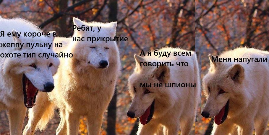 Arkhaem's tweet photo. Обожаю своих игроков😍Сами устроили балаган, сами поржали, сами наклепали мемов. А виноват во всем мастер, потому что не запретил🤣 https://t.co/KSngUSwG0Y