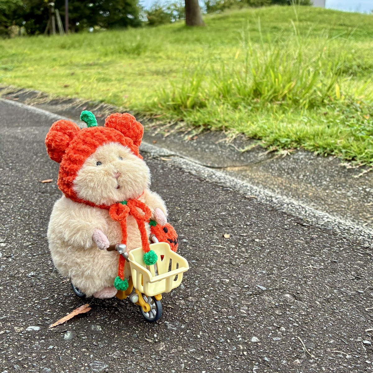 Xoxo___non's tweet photo. 三輪車れんしゅしました🐹💦

#はむにぎり https://t.co/C1Q0utbdZ6