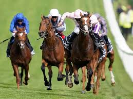 red_dragon3112's tweet photo. Here is today’s nap of the day

No7 SOUTH SHORE at 3/1 in the 4.02 at Bath

And a double

No9 GOLDEN RING at 13/8 in the 4.25 at Cork

No5 AIGHEAR at 3/1 in the 5.13 at Ayr

Good luck

#reddragonsportstipping #winningbets #horseracing #theracingchannel #racingpost #bath #cork #ayr

Red Dragon Sports Tipping
providing you with free tips each and every day of the week covering a wide range of sports

Click on the link below for more offers we provide
https://t.co/Njhm4VMUQP