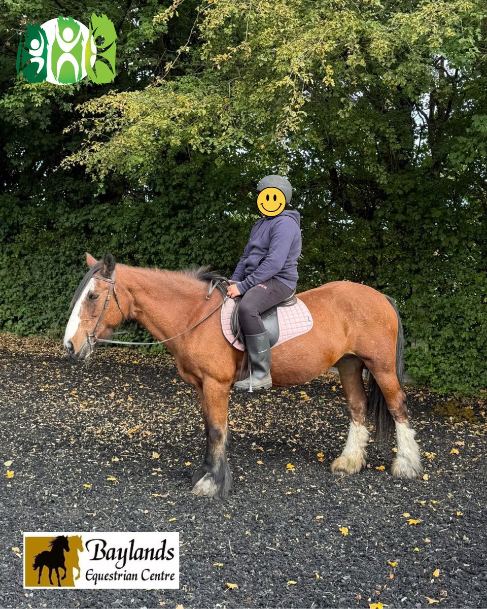 ASECLuton's tweet photo. Our learners are enjoying horse riding sessions while developing so much more than riding skills.

A fantastic opportunity to learn, challenge themselves and grow — all while enjoying time with these wonderful animals! 

Thanks to Baylands Equestrian Centre at Stockwood Park💙 https://t.co/NDrJwPWHrv