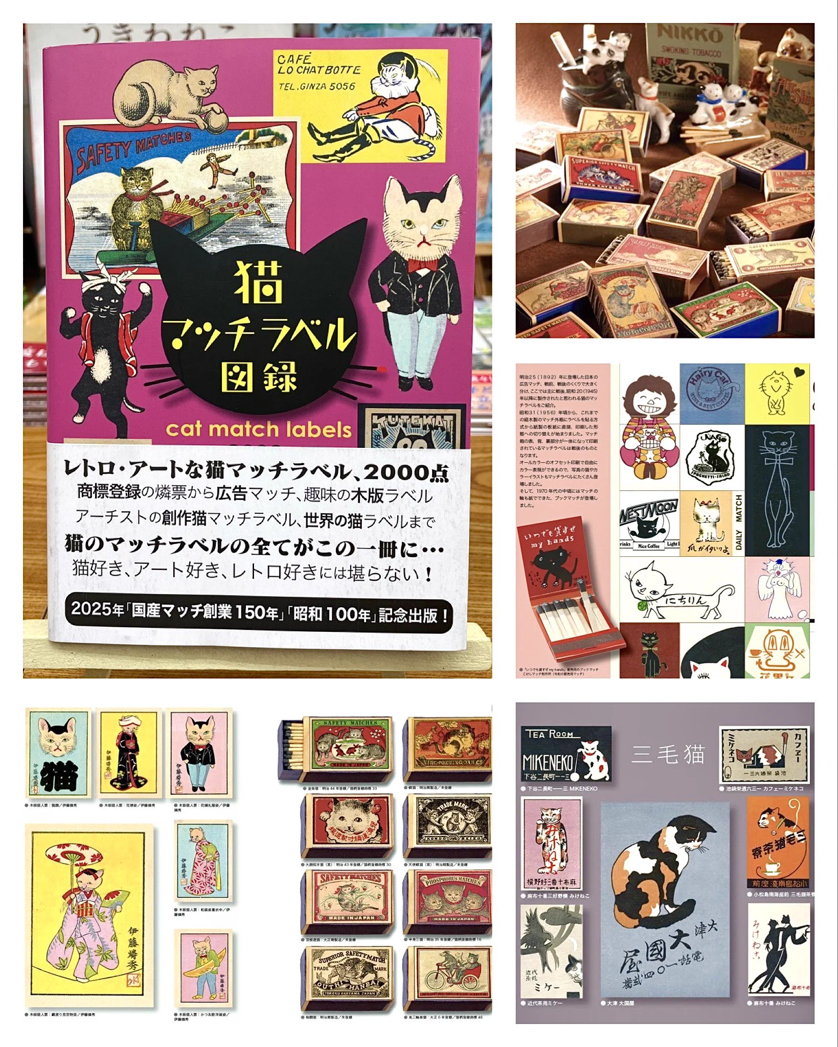 猫本専門 神保町にゃんこ堂_姉川書店 على X: 