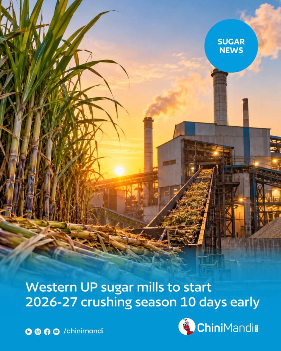 ChiniMandi's tweet photo. Western Uttar Pradesh sugar mills are set to begin the 2026–27 crushing season 10 days earlier than usual. 

The early start marks an important shift for the upcoming sugar season, with mills preparing to commence crushing operations ahead of the traditional schedule.

The move comes amid growing focus on sugarcane availability, production and sugar supply for the new season.

Read the full article here🔗
https://t.co/s8ehB4C3YA

#ChiniMandi #ChiniMandiUpdates #WesternUPSugar #SugarcaneCrushing #SugarSeason