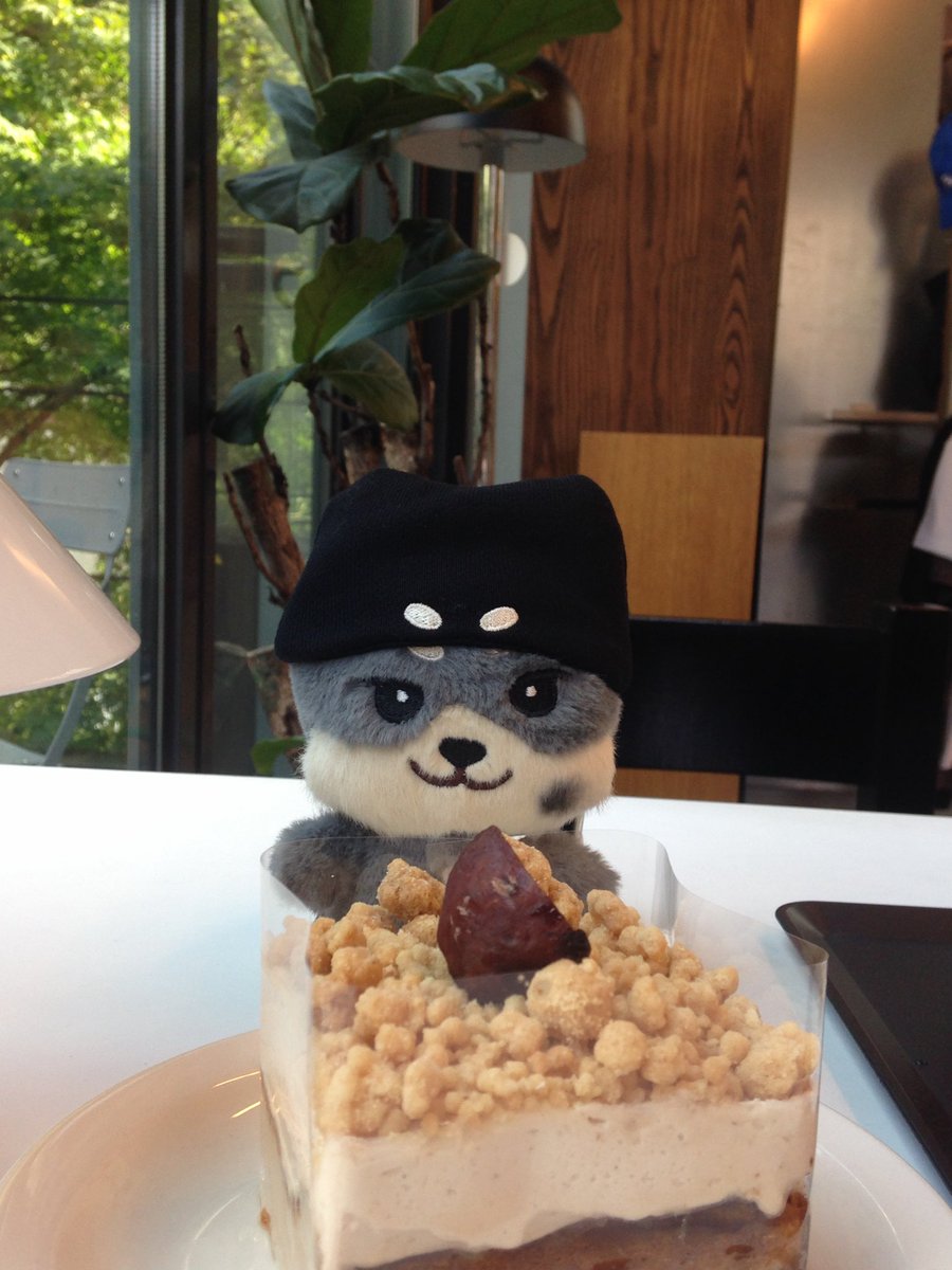 O130hd's tweet photo. 도쥬니 너무 귀엽고 인형놀이 재밌음 히히 https://t.co/vog5hEDOru