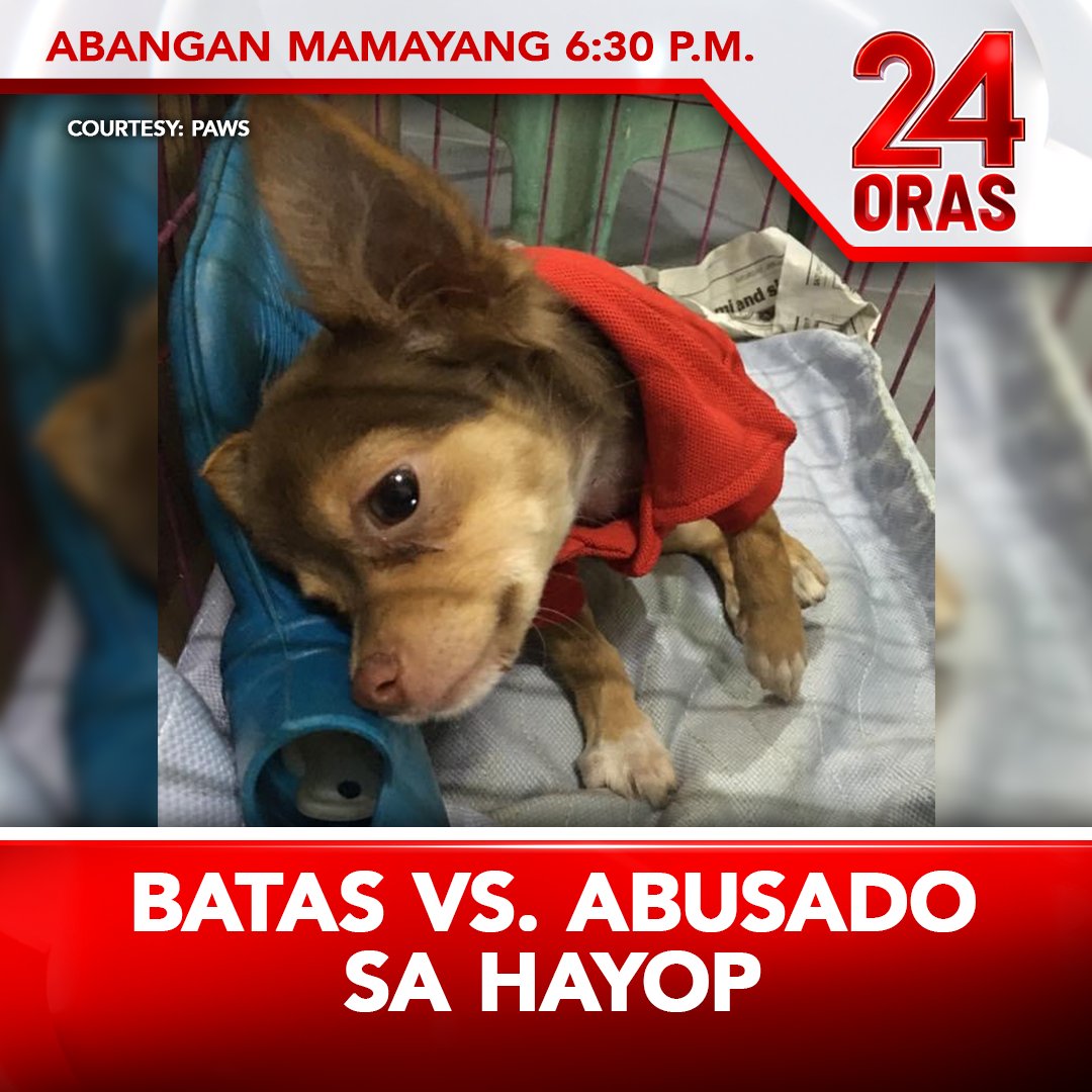 gmanews's tweet photo. 'ALAGA BILL' 

Inihain sa Kamara ang isang panukalang batas para pabigatin ang parusa sa mga mang-aabuso sa mga hayop.

Ang buong report, abangan mamaya sa 24 Oras. https://t.co/uuKubhft3R