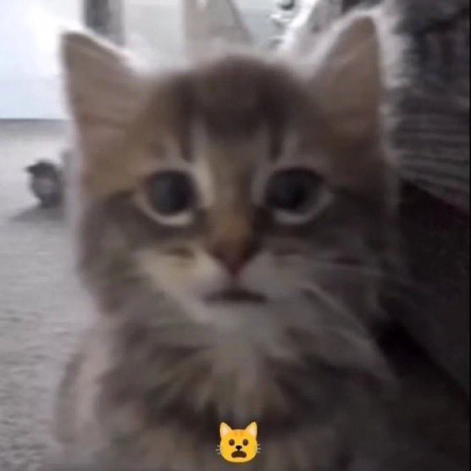 181xr's tweet photo. @__Optimstic 😾 https://t.co/HgSsFp3zUg