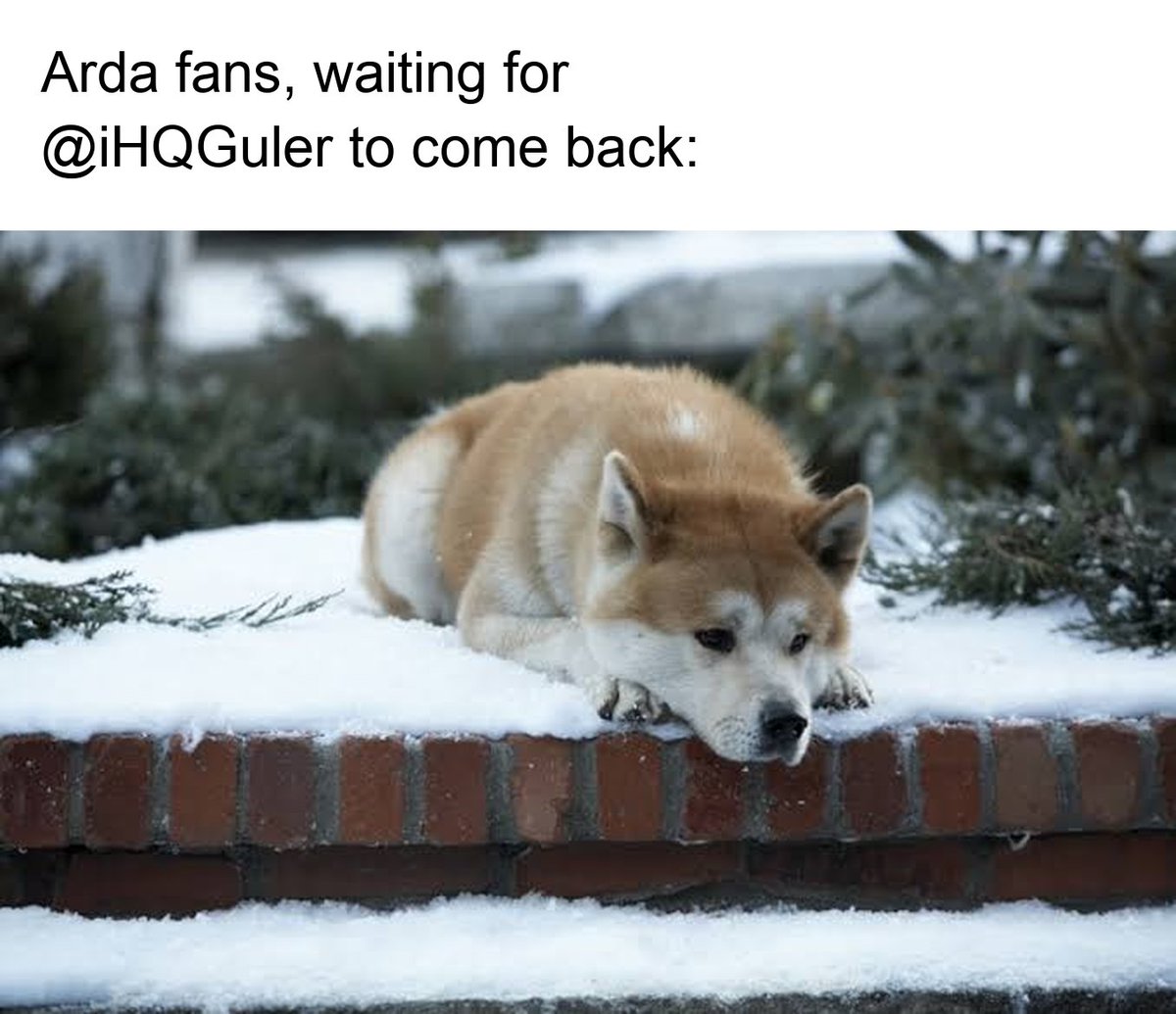 ardagulermemes's tweet photo. Come back soon @iHQGuler https://t.co/ATHNgm8pch