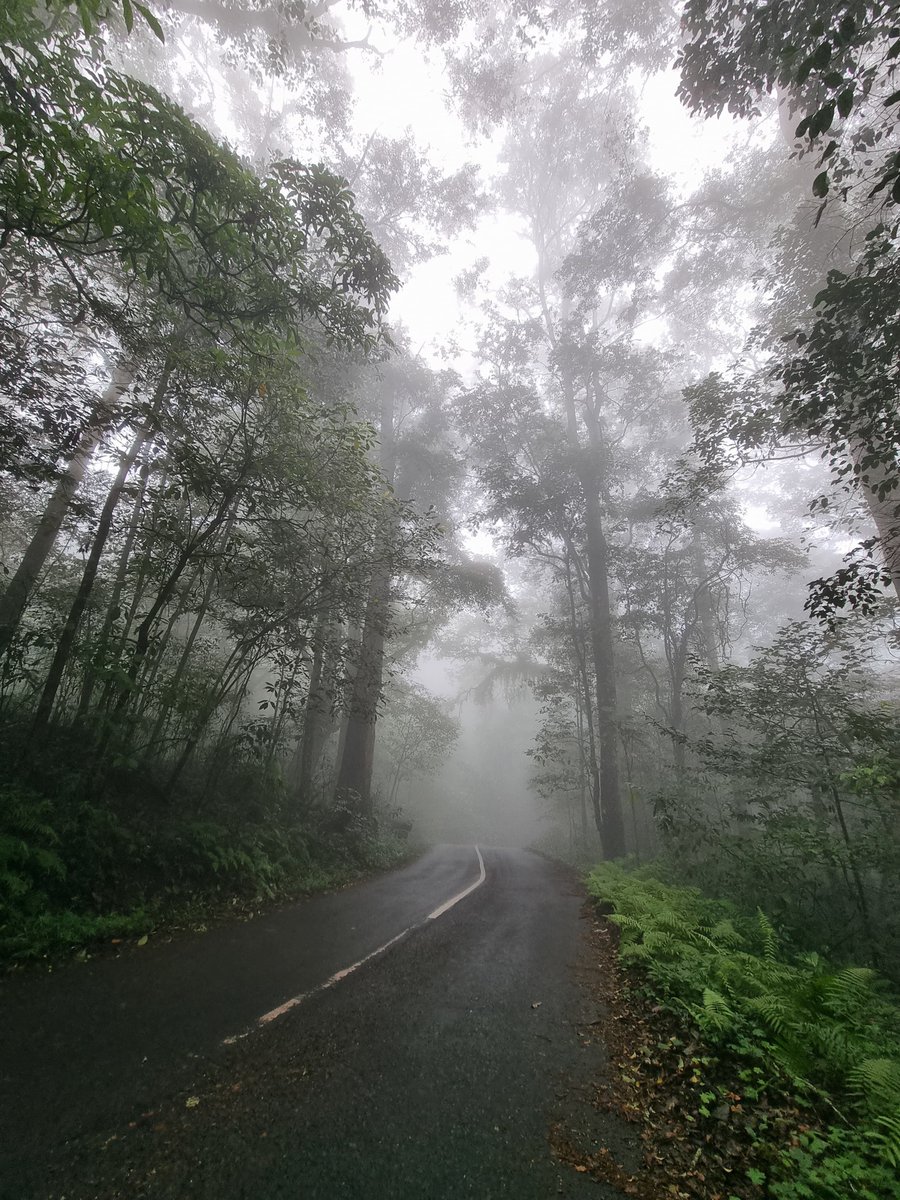 MazayaAshfa's tweet photo. Kayak di film horror gitu https://t.co/QtXLH7DIsY