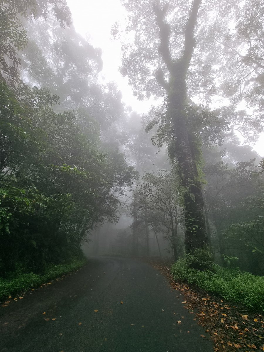 MazayaAshfa's tweet photo. Kayak di film horror gitu https://t.co/QtXLH7DIsY