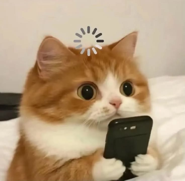 obsxcura's tweet photo. $ZEC soon will be at $366 https://t.co/FY4gKA3Fxb