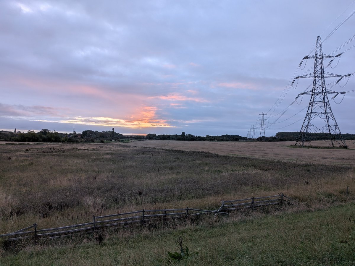 ManfromMarton's tweet photo. A couple of @PatchBirding visits this AM produced 42spp including a close encounter with a Mistle Thrush plus 2 Jays, 2 L.Egrets, 36 Red-legged Partridges, Grey Wagtail, Sparrowhawk, 3 Chiffchaff 
@Lincsbirding #PatchBirding
@LincsWildlife #Birds https://t.co/8r0L64fHQW