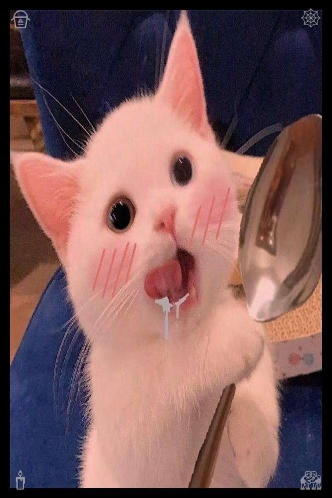 m31choly's tweet photo. 🧒Badminton with girlfriend Rackets, sliced (note: likely typo, corrected to "prepared")Elara flinched at his harsh words, but she did not look away, knowing they were true—her mother had abandoned her family, her home, and her first love for a life of comfort, only to die re https://t.co/XVB7rkUk8F
