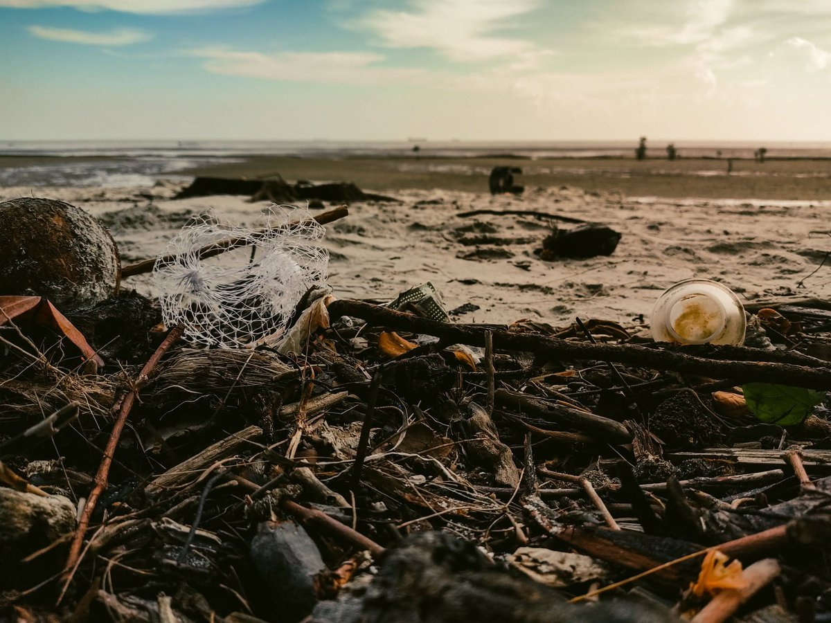 ProteusPod's tweet photo. 🌳 ¿Es el ser humano una plaga, lo más dañino que le ha ocurrido al planeta? En este capítulo, reflexionamos sobre este y otros mitos que tejemos alrededor de la naturaleza 👇
https://t.co/aB5HPXpoqO

📷 Ihsan Adityawarman https://t.co/mix0DLKLXd