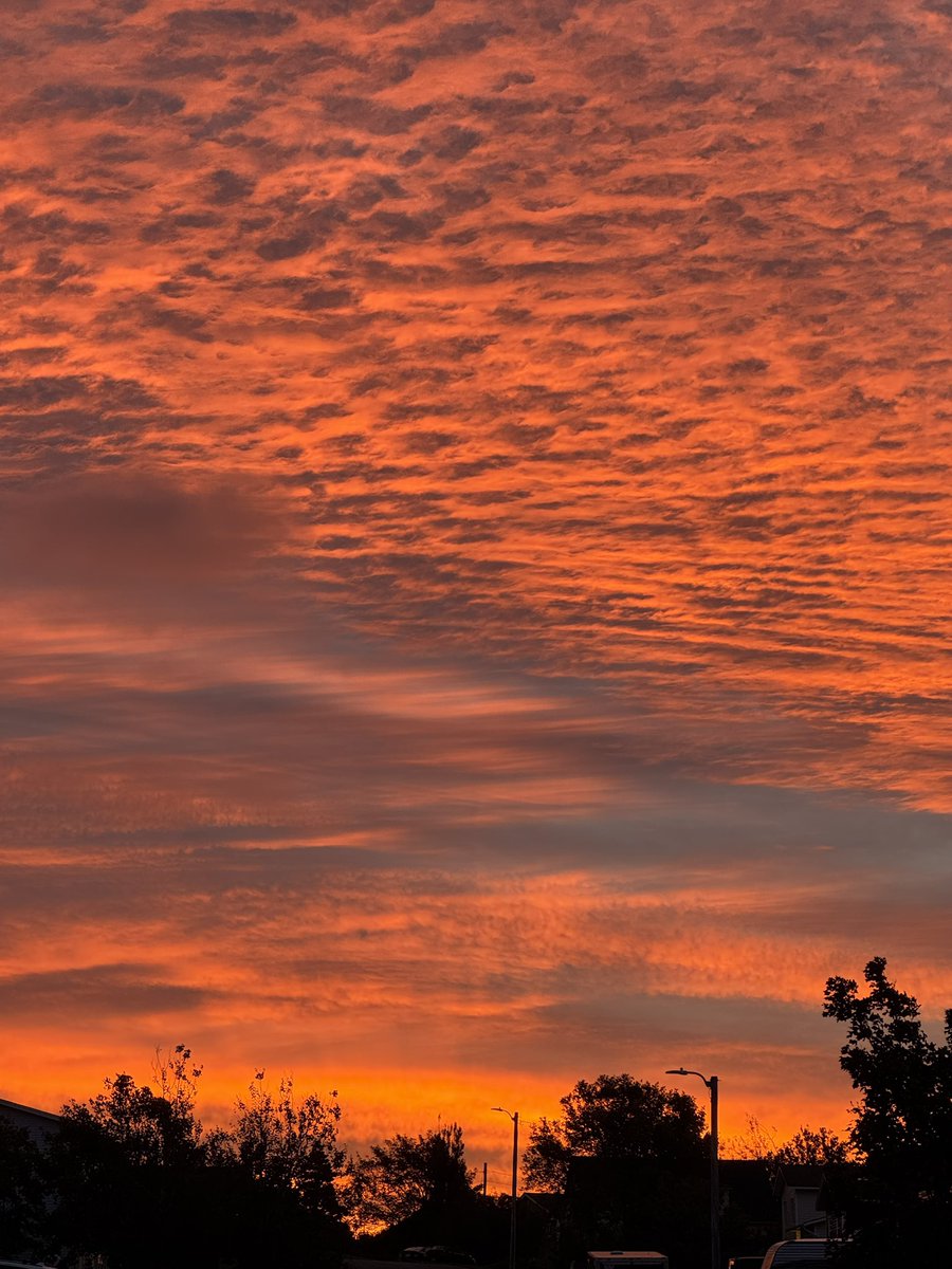 GrayMarker99's tweet photo. The sky is on fire this morning! Absolutely stunning!! 

Bonavista, NL

#ShareYourWeather https://t.co/eZu3hLhXdw