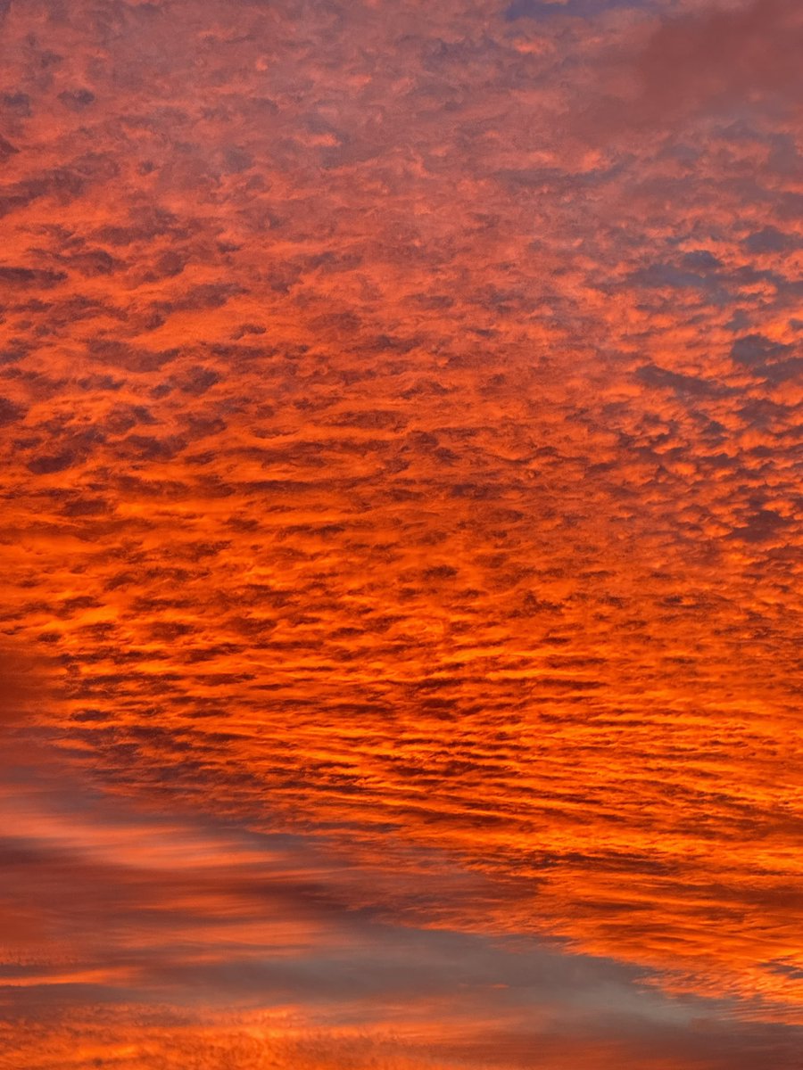 GrayMarker99's tweet photo. The sky is on fire this morning! Absolutely stunning!! 

Bonavista, NL

#ShareYourWeather https://t.co/eZu3hLhXdw