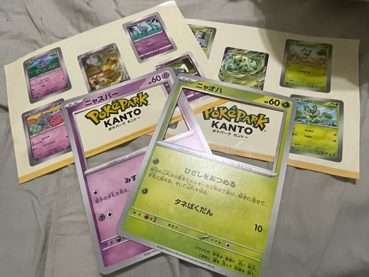 nightleaf_XY's tweet photo. 昨日のポケパーク、ニャパで神だった
まさか自分で貰えると思ってなかった感動で泣く https://t.co/ciU1sMovKU