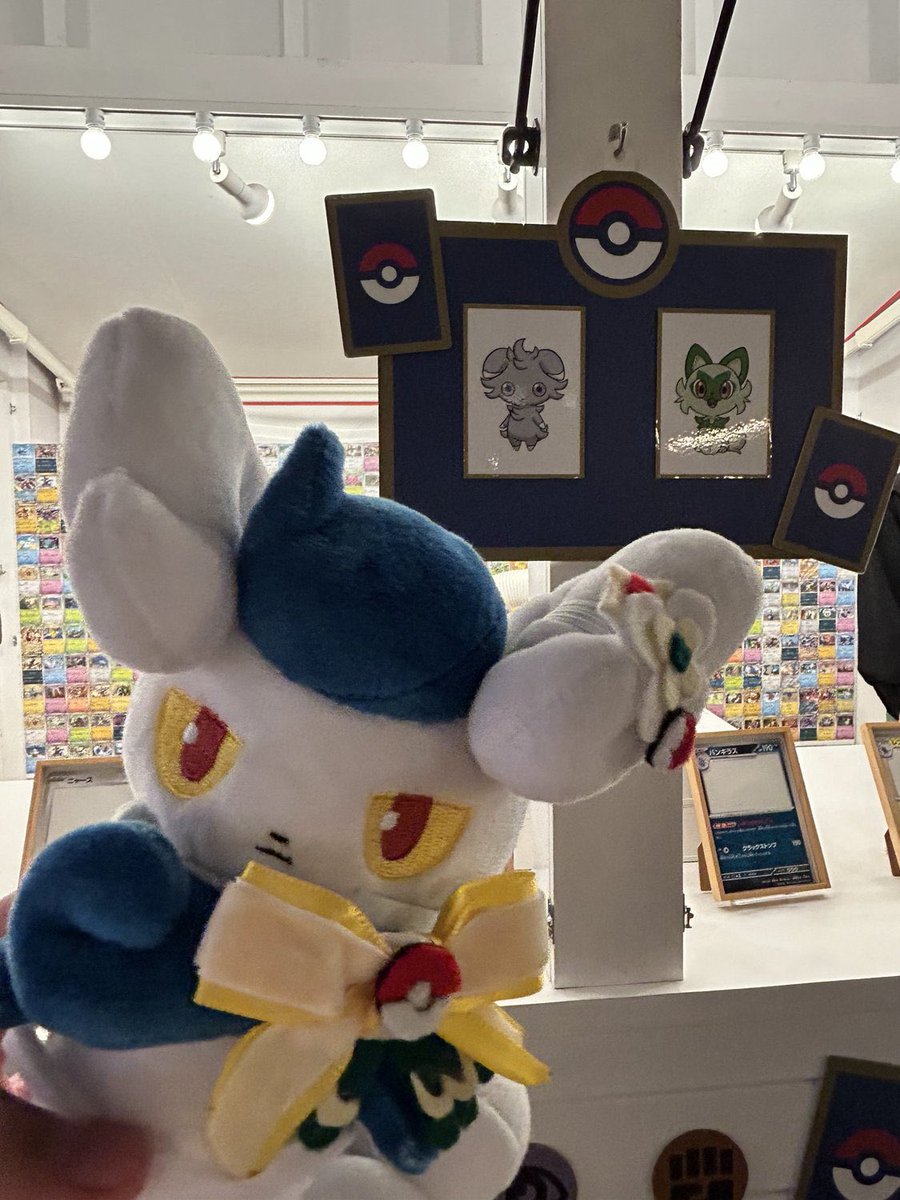 nightleaf_XY's tweet photo. 昨日のポケパーク、ニャパで神だった
まさか自分で貰えると思ってなかった感動で泣く https://t.co/ciU1sMovKU