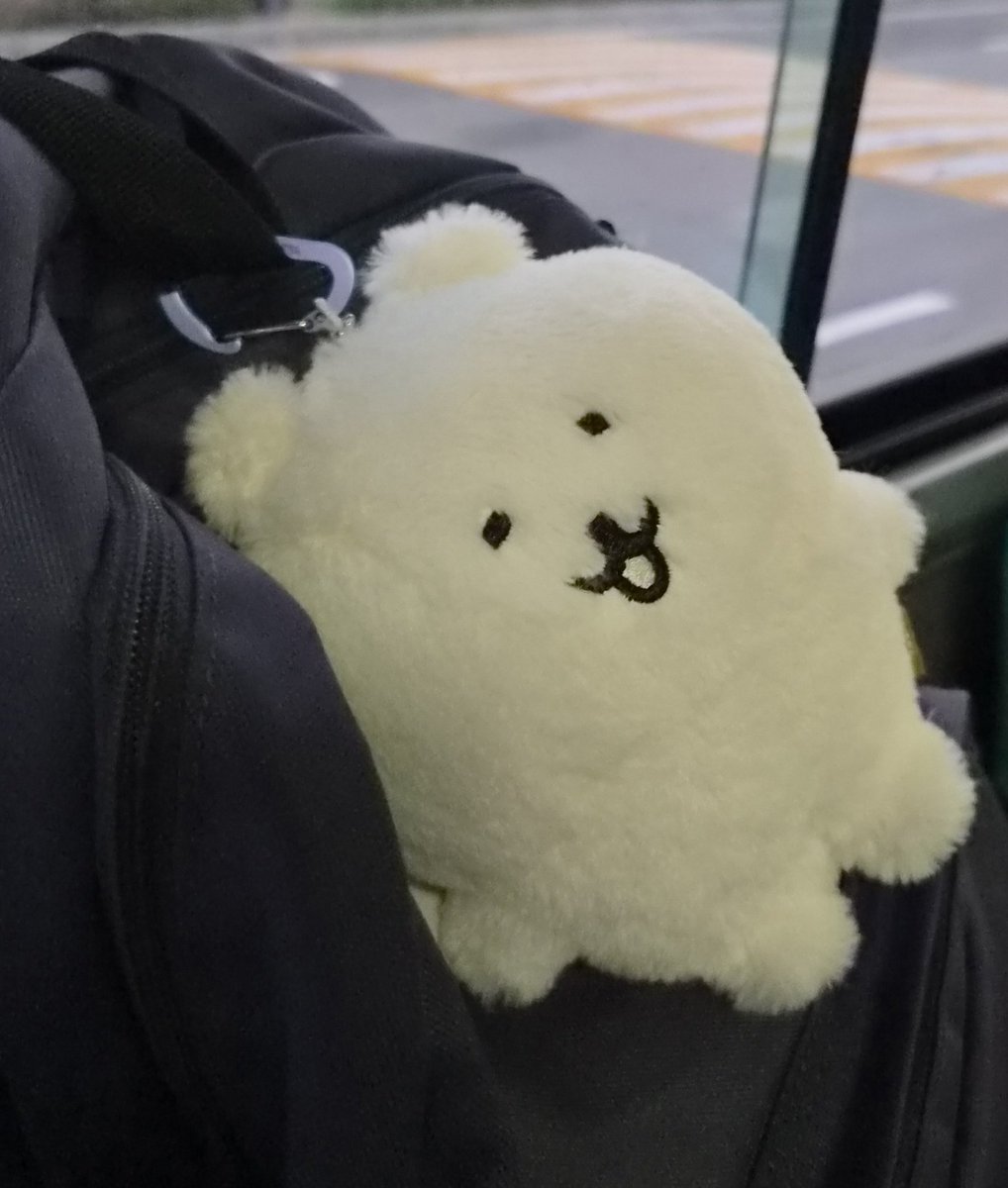 LOS_Damgome's tweet photo. 퇴근모찌, 행복해. https://t.co/lRL2GQHHD0