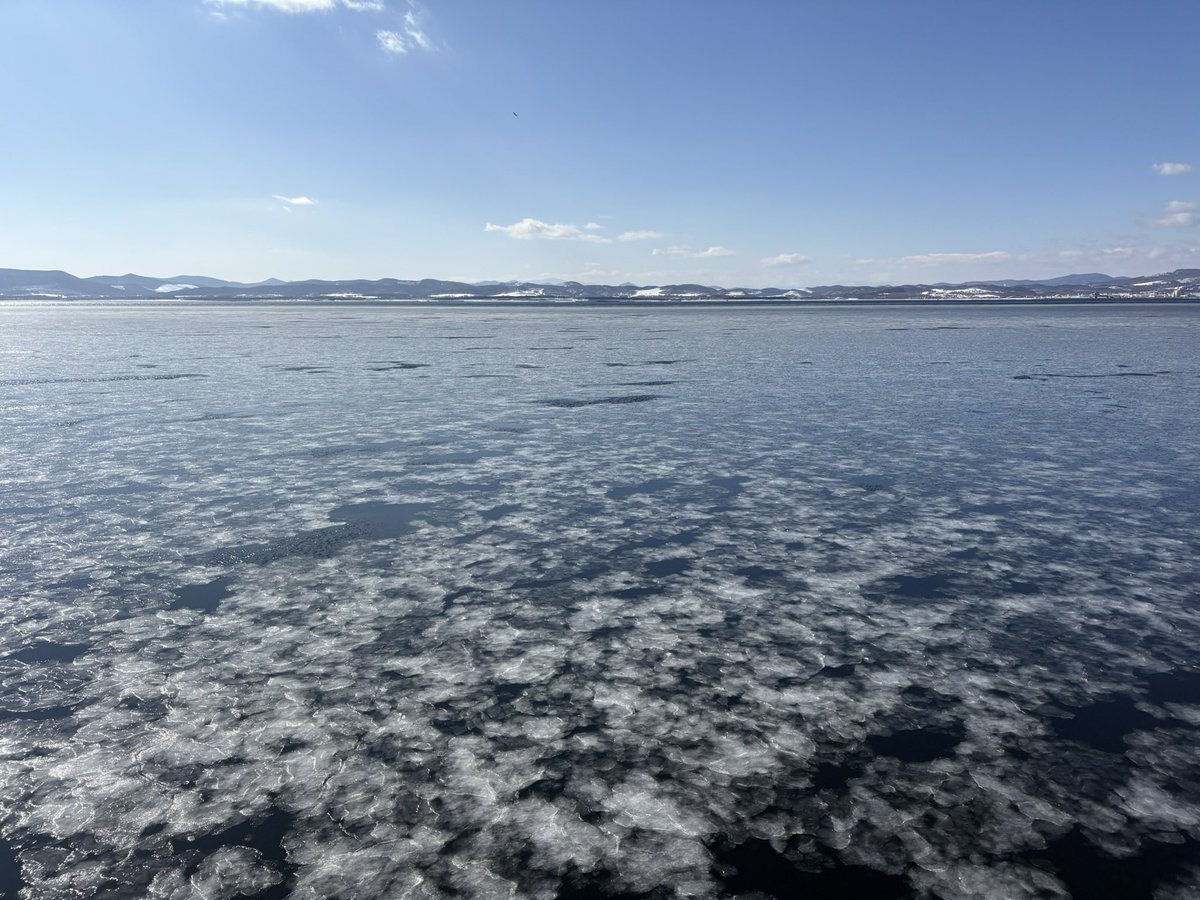 sam_kichi's tweet photo. もう半年以上前だけど、冬の北海道いいところでした。

雪まつり見てイグルー作って流氷っぽい何かを見て北見の焼肉食べてめちゃ寒い最東端行って帯広にも旭山動物園も行けて大満足。
しかし後半ソロ電車移動だったけどとんでもなく交通費かかったので、やはり北海道はバイクがいいな😇 https://t.co/uJcJGgxSbl