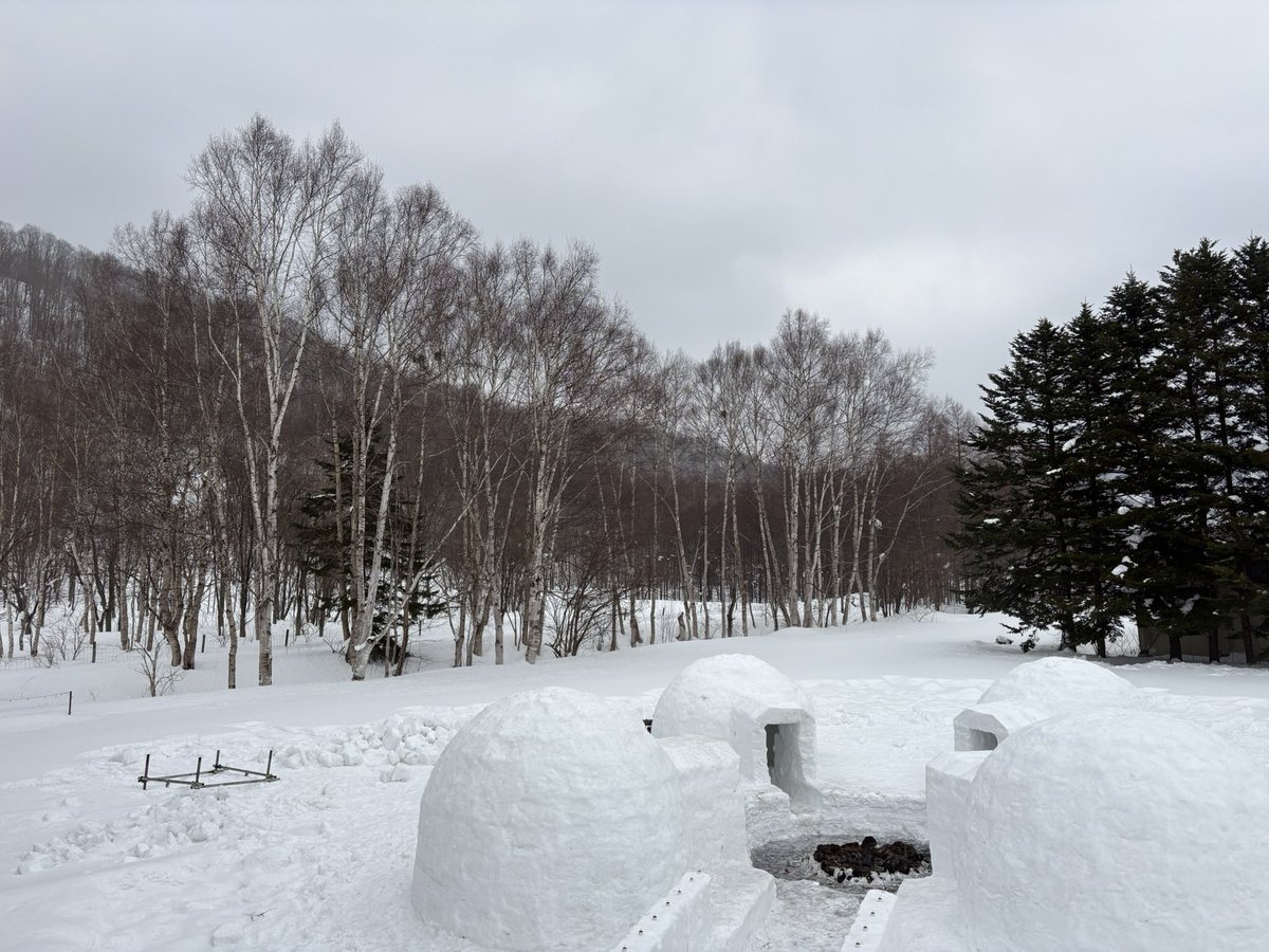 sam_kichi's tweet photo. もう半年以上前だけど、冬の北海道いいところでした。

雪まつり見てイグルー作って流氷っぽい何かを見て北見の焼肉食べてめちゃ寒い最東端行って帯広にも旭山動物園も行けて大満足。
しかし後半ソロ電車移動だったけどとんでもなく交通費かかったので、やはり北海道はバイクがいいな😇 https://t.co/uJcJGgxSbl